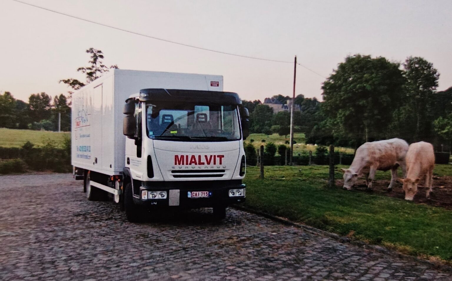 Mialvit-vrachtwagen op een landbouwbedrijf met koeien in de weide, als illustratie van duurzaamheid, veeteelt en verantwoord ondernemen binnen een modern landbouwbedrijf.